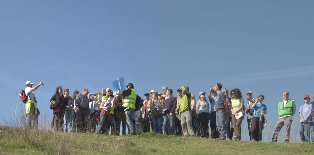Enmiendas a la Ley de Conservación del Patrimonio Natural