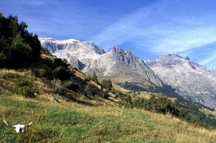 Cursos en Pirineos