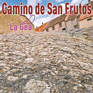 La gea en el Camino de San Frutos