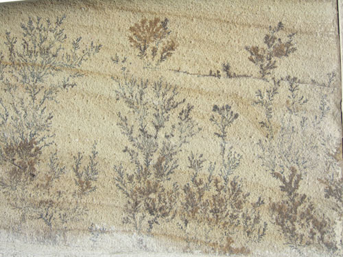 Portal Juan Bravo 20 - Andrés Díez Herrrero