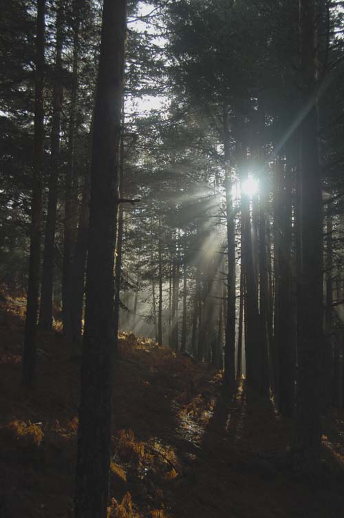 Sierra de Guadarrama - Ignacio Gutiérrez Pérez