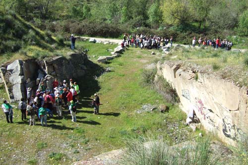 ¡Vamos al campo!