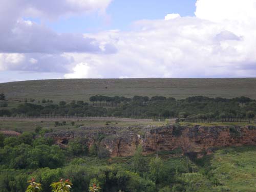 Visita guiada a las Cuevas “Champiñoneras”
