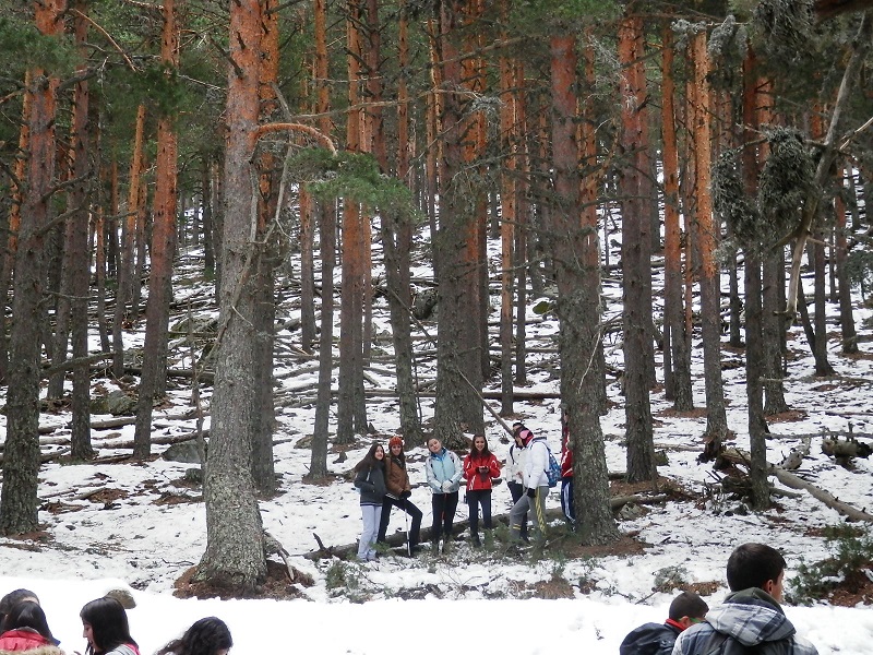 Actividades Geológicas Grupo Excursionista «Giner de los Ríos»