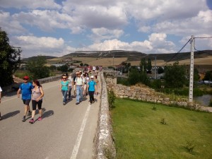 IMG_20140705_175637