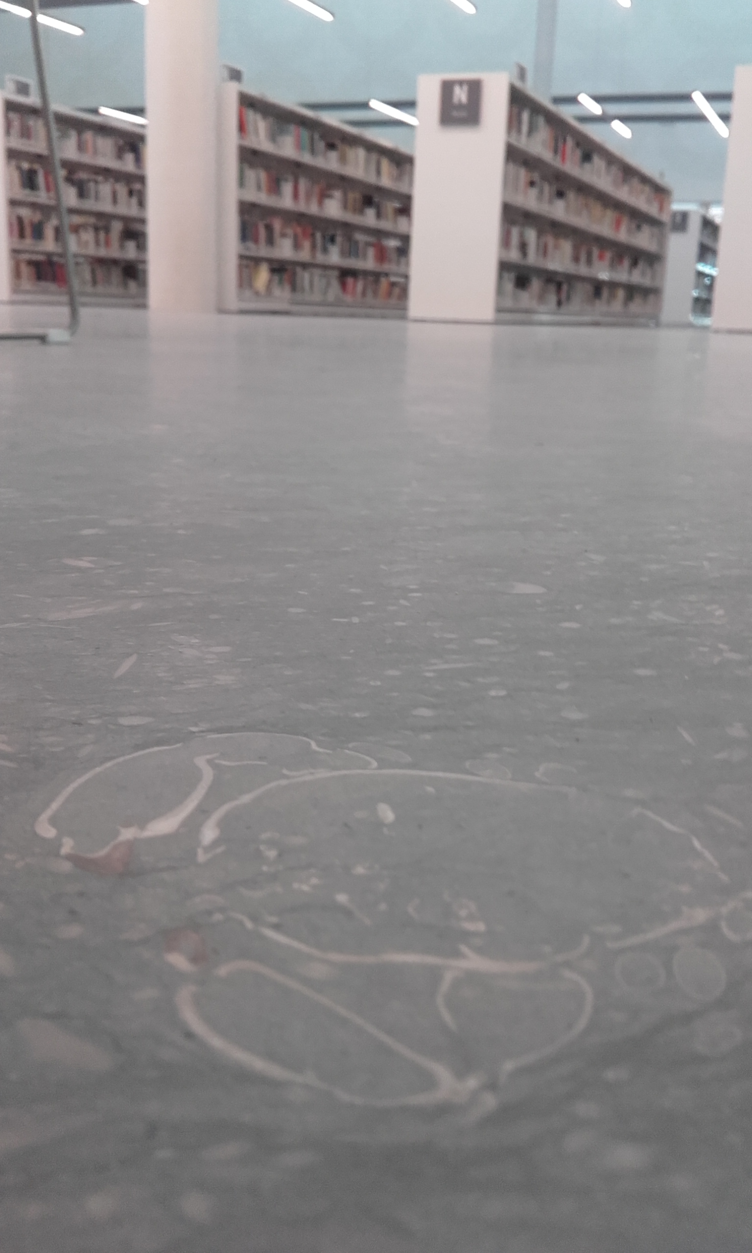 La nueva biblioteca pública de Segovia ¡está llena de cangrejos marinos!