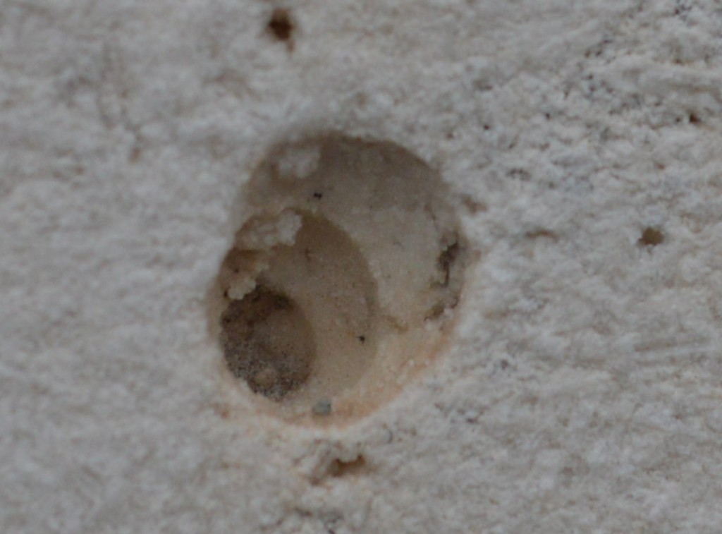 Cultura a un paso de caracol 04, Geologia de Segovia