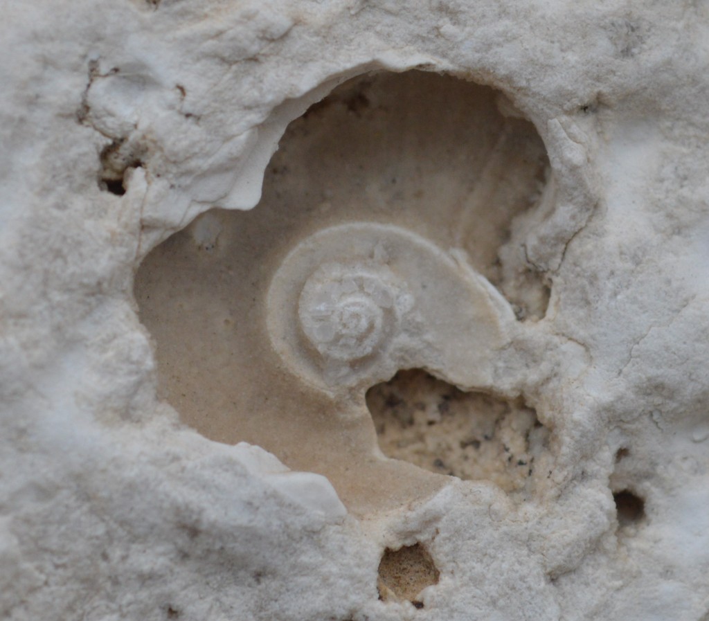 Cultura a un paso de caracol 09, Geologia de Segovia
