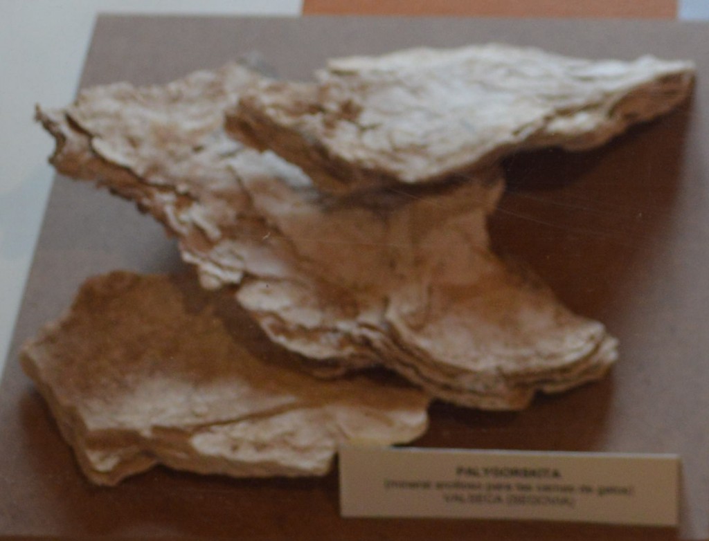 georruta-valseca-7-museo-de-valseca