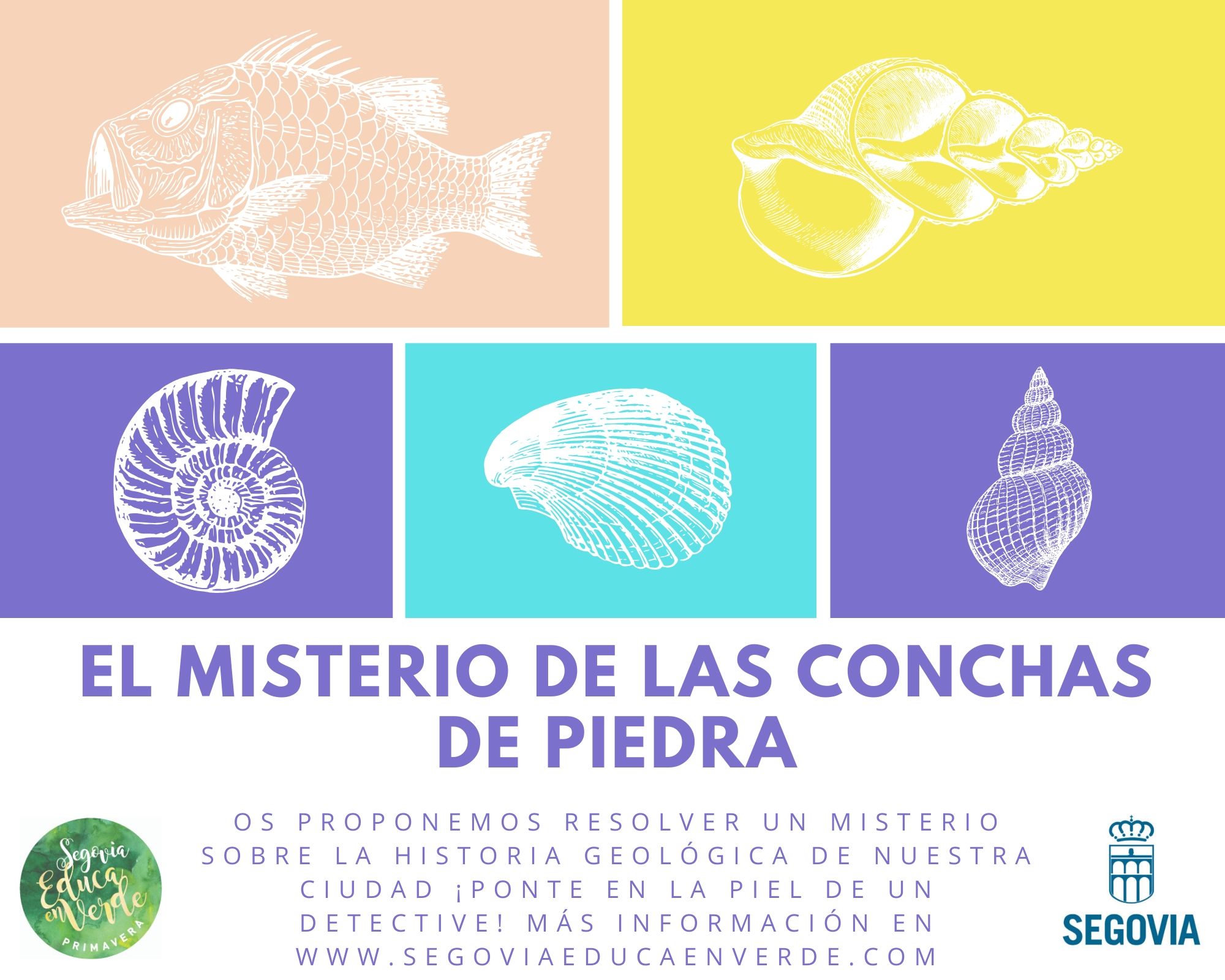 El Misterio de las Conchas de Piedra