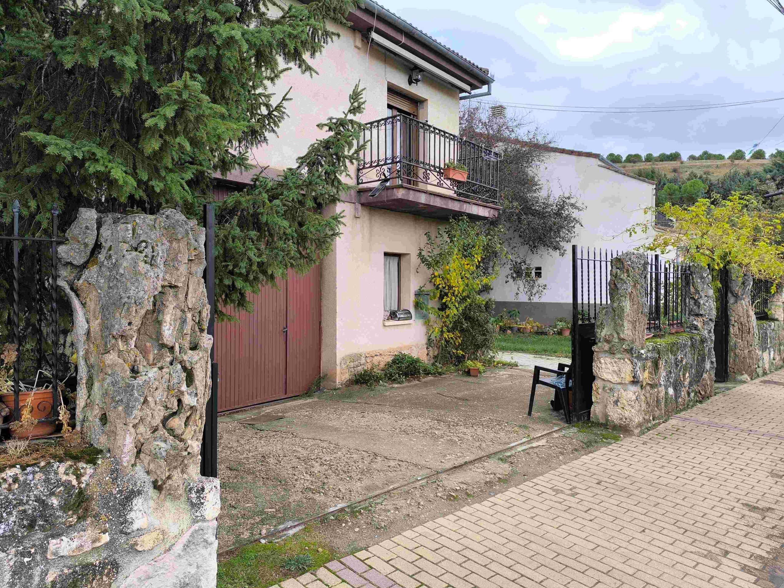 Los troncos fósiles me sacan de quicio en Caballar